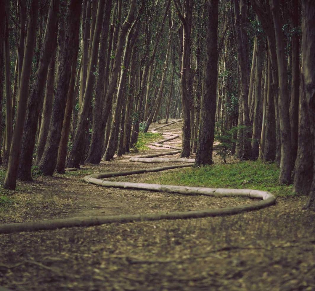 Test_ieiyzDUDhO DBCjhREQfO